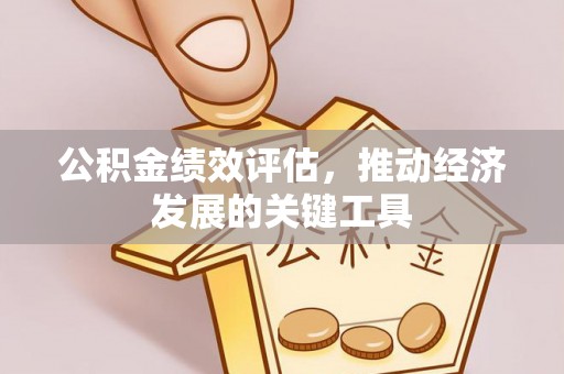 巨野公积金绩效评估，推动经济发展的关键工具