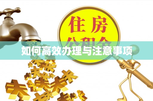 巨野如何高效办理与注意事项