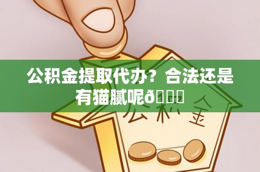 巨野公积金提取代办？合法还是有猫腻呢😏
